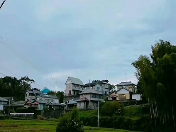 这几个国家华人很多，来看看都是哪个国家？